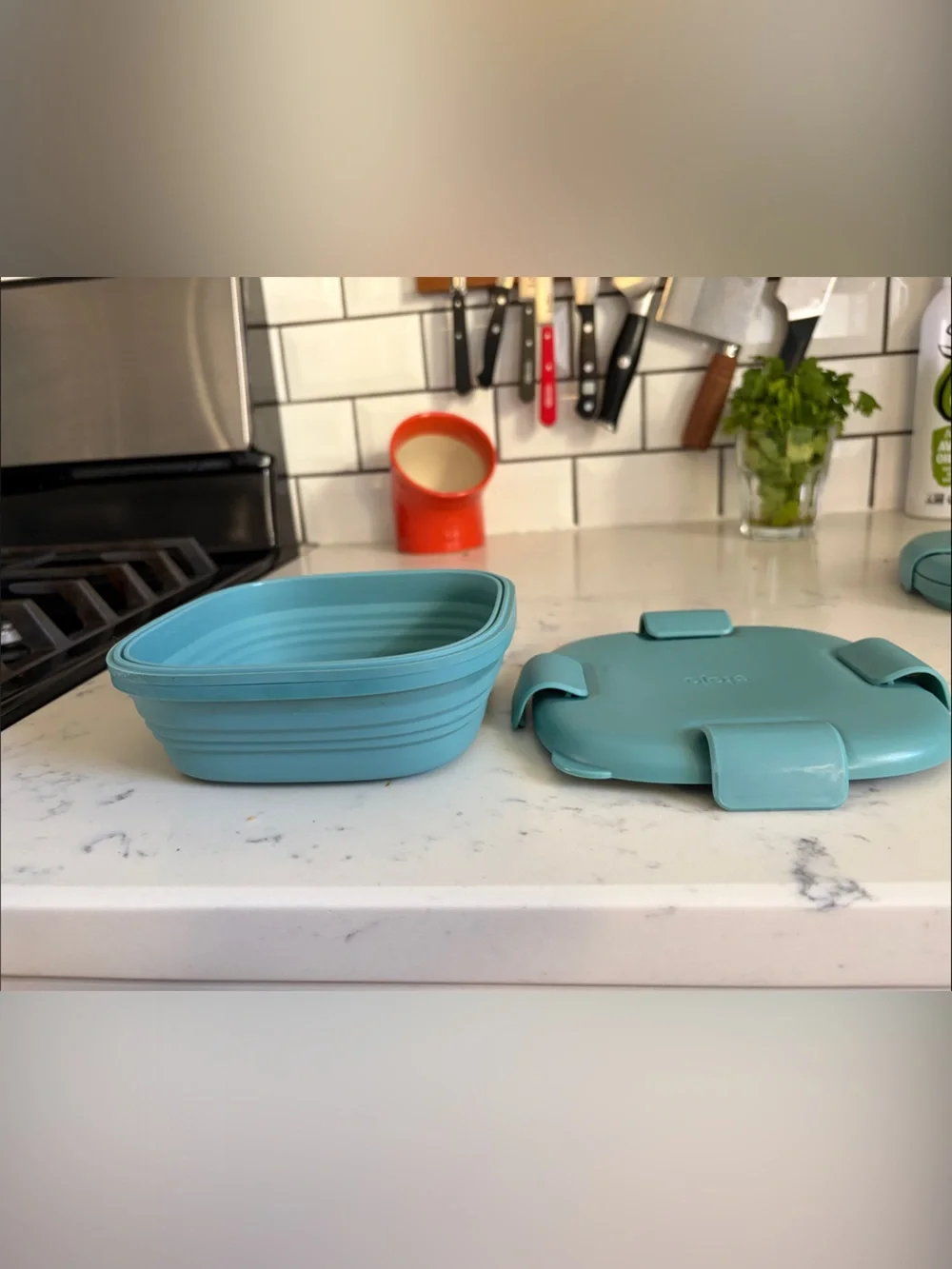 Stojo Collapsible Food Containers (3) - Teal